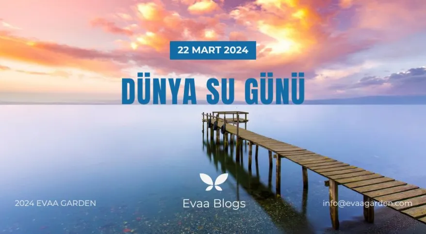 Dünya Su Günü’nde Su Tasarrufunun Önemi